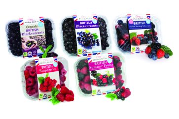 Retail Frozen Fruit Packs