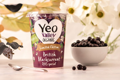 Yeo Valley Blackcurrant Yogurt