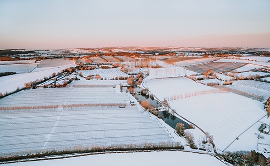 Ariel View in Snow